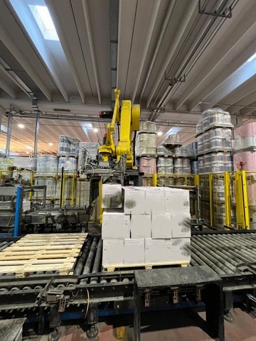 Used Robot fanuc palletizer 13