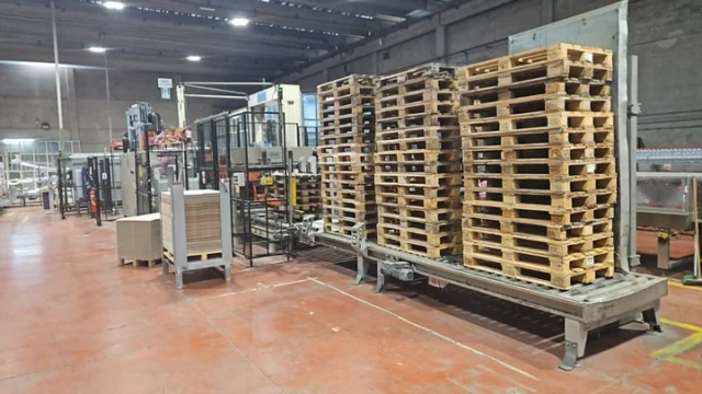 Palletizzatore Acmi Pallet Rasar PET 2002 Usato