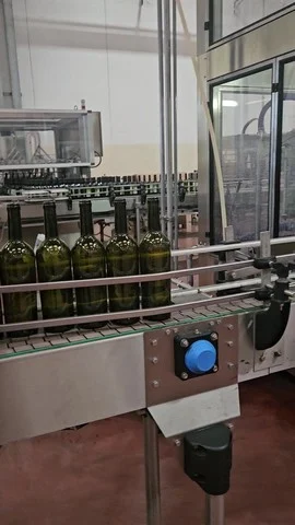 Complete Used Still Wine Line – 8,000 Bph