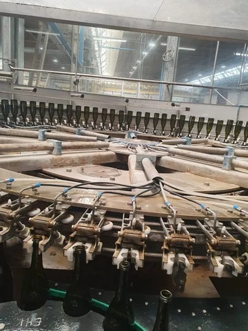 Sciacquatrice Simonazzi 20.000 bph Usata
