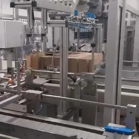 Used Case Packer Monoblock Bortolin-Kemo