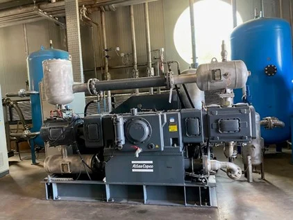 Booster Crepelle 40S62H Usato