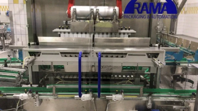Incartonatrice Picker Vertical Rama Usata